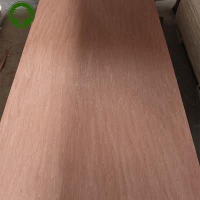 China Traditional 18mm 2 Times Hot Press Poplar Core E0 Glue Bintangor Plywood for sale