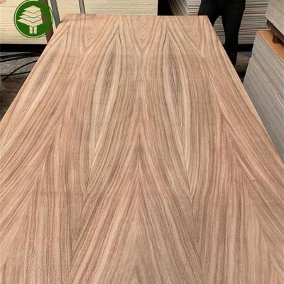 China Industrial AA Grade Natural Tzalam Parota Veneer MDF Fancy MDF Plywood for sale