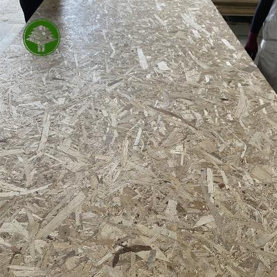 China Tropical 15mm poplar material E1 glue OSB board  Oriented Strand Board for sale