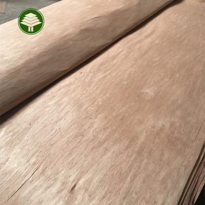 China Industrial Beat Selling  Bintangor veneer rotary cut wood face bintangor veneer for plywood for sale