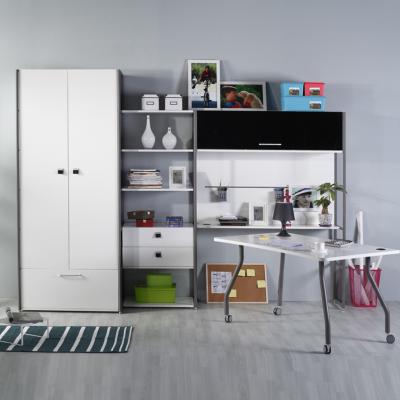 China Bedroom Wardrobe Steel Frame File Cabinet Locker Wall Cabinet Computer Desk Computer Desk Convertible Student Desk for sale