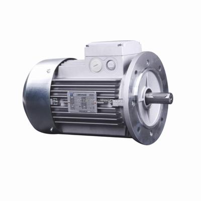 China IP55 MS 370W 220V 380V Electric Three Phase Asynchronous Motor for sale