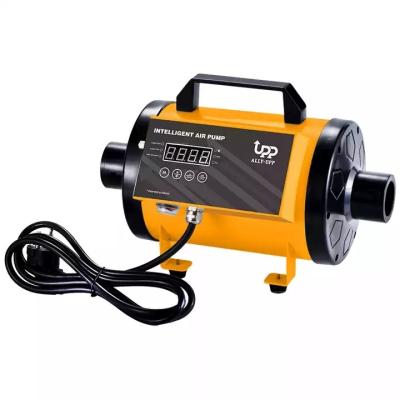 China Abundant Supply of Water Park Equipment in Professional Inflatable Mini Compressor Full Automatic Portable Compressor for sale