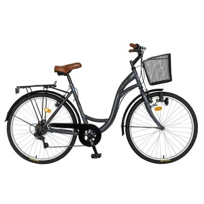 China Hot Selling 26 Inch Wheel Double Seat Street Retro Shimano Set 6 Speed ​​V Brake City Bike For Lady for sale