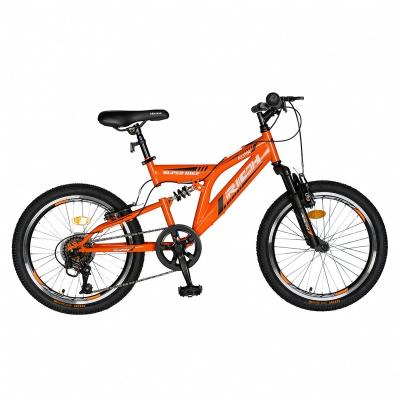 China 20 inch wheel 6 speed V brake steel frame mtb mountain kids flat land fast delivery bike for sale