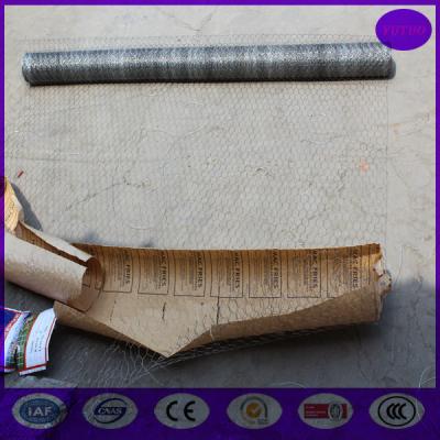 China Galvanized Chicken Wire mesh roll  for animals housing for sale