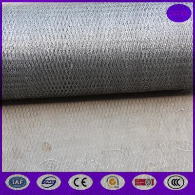 China 20mm x 20 gauge  Galvanized Poultry Netting Fencing / Chicken Houses Runs for sale