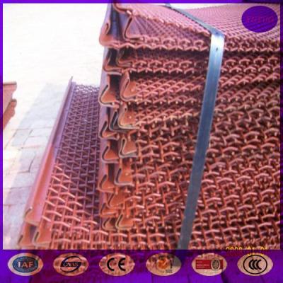 China High quality Vibrating Screen Mesh for Grizzly Agitation Tank for sale