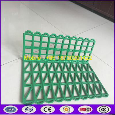 China China Supermarket Vegetable and Fruit Shelf Tray in Good Price for sale