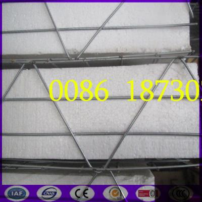 China 3D Welded EPS Panel,EVG 3D Panel System,3D Wire Mesh Block Panel Wall for sale