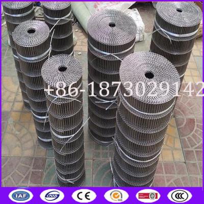 China Ladder Shape Conveyor Metal Mesh Belt made in China en venta