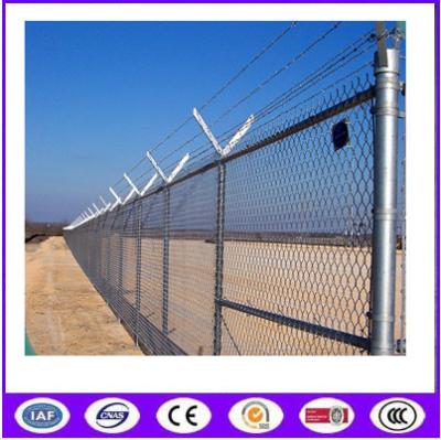 China Free Samples China Factory Direct Wholesales Hot Dipped Galvanized Barbed Wire en venta