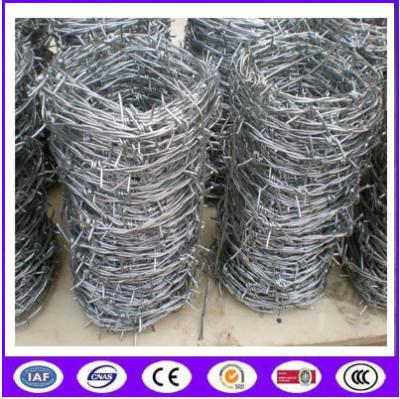 China Double Twisted Hot Dipped Galvanized Babred Wire with best quality in Chinba en venta