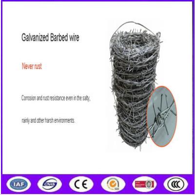 China Weight of barbed wire price per roll meter length for sale philippines en venta