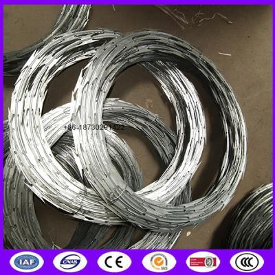 China Cbt-65 450mm 50 Feet Length Galvanized Steel Razor Wire Ribbon for Military en venta