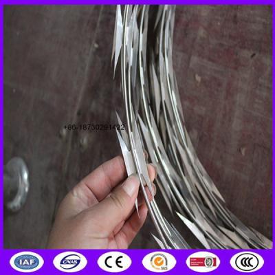 China 600 MM outside diameter Barb Tape Concertina razor wire CBT 65 SS 304 (Stainless Steel) with Heavy Galv. Core wire for sale