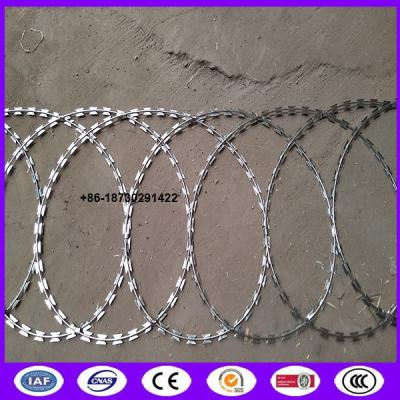 China 450mm coil diameter Razor wire flat wrap coils as a clapped into a flat panel formation. en venta