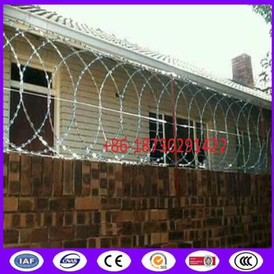 China 500mm coil diameter flat panel razor wire for wall top installation en venta