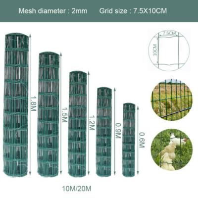 China Garden Holland PVC Coated Fence Wire Mesh for sale