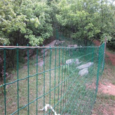 China Welded Galvanized PVC Coated Fence Garden Fence for sale