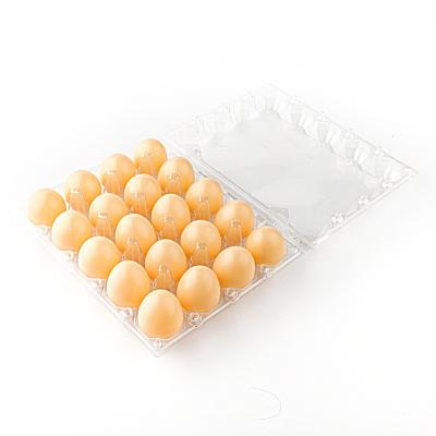 China Wholesale Hot Sale 15 Hole Plastic Egg Tray Clear Egg Tray Quail Egg Tray Box for sale