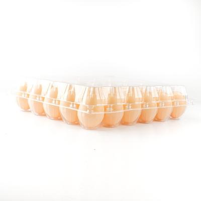 China Disposable Size 30 Hole Plastic Egg Container Hot Sale Quail Egg Tray Clear Plastic Tray for sale