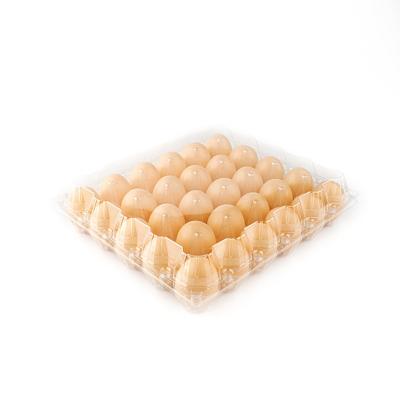 China 30 Hole Disposable Egg Packing Tray Plastic Egg Tray Mold Stacked Plastic Egg Trays for sale