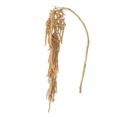 China Real natural dry preserved high quality hanging amarantus flowers flower wedding festival decor for sale