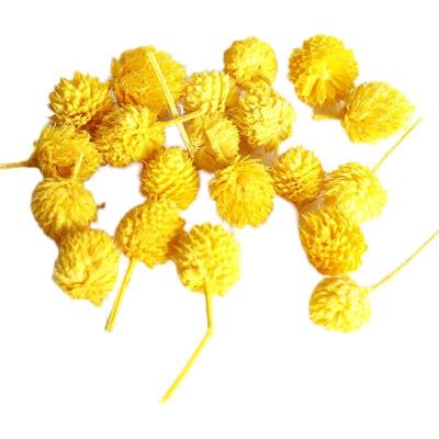 China Durable Dry Flower Strawberry Fruit Gomphrena Globosa Flower Packs DIY Gifts Festival Holiday Decor for sale