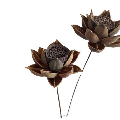 China New Home Decor Lotus Flower Dried Flowers Multi Color Durable Dry Handmade Material PhotoProps for sale