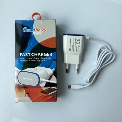 China Stable Fast Charger Usb Cable Simultaneously Fast Charger 2 Pins Eu Output Mobile Phone for sale