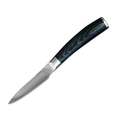 China Viable 3Cr13 Ceramic 3-Inch Paring Knife With Pakka Ebony Guangdong In Wooden Handle Multifunctional Stainless Steel for sale