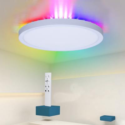 China Zhongshan LED Ceiling Lamp Outdoor Mounted Light Fixtures Round Led Light Ceiling With Intelligent Voice Control for sale