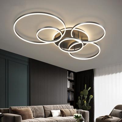 China Zhongshan 2022 New Nordic Iron 118w Living Room Outdoor Mounted Bedroom Ring Home Interior Decorative Led Rings Ceiling Lights for sale