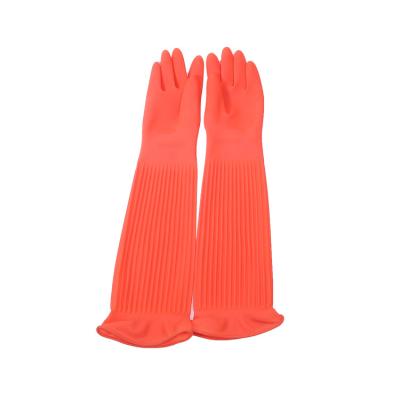 China Long Sleeve 56CM Housework Gloves Thickness Waterproof Dish Cleaning Rubber Gloves for sale