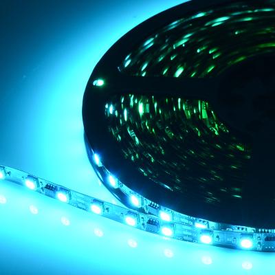 China LANDSCAPE DC12V WS2811 16.4ft 60LED 20Pixels IP20 65 67 RGB Dream Color Programmable Led Strip for sale