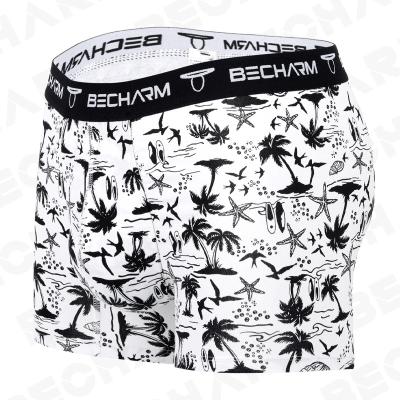 China ODM Logo Soft Spandex Boxer Men Boxers Plus Size Cotton Mens Boxers Antibacterial Custom Brief Underwear Men for sale