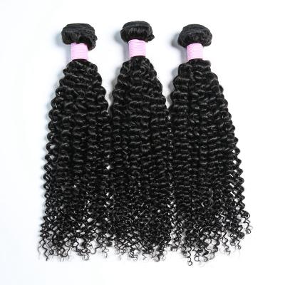 China Unprocessed Brazilian Curly Hair Brazilian Curly Hair Unprocessed 100% Virgin Curly Virgin Hair Bundles Seller for sale