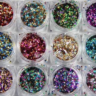 China Nail Art DIY TSZS Wholesale 12 Colors Nail Glitter Sequin Set Nail Art Decoration Glitter for sale