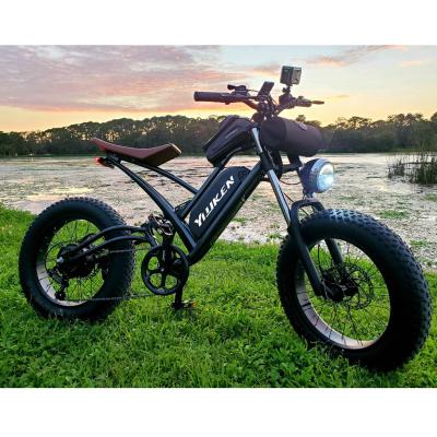 China 20 inch fat tire ebike ebike 48v 1000w steel electric enduro electric bike e-bike for sale