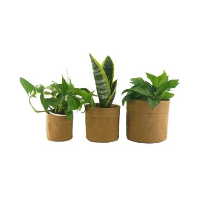 China Waterproof Wholesale Cheap Kraft Paper Bags Large Price Flower Pot For Decorative for sale