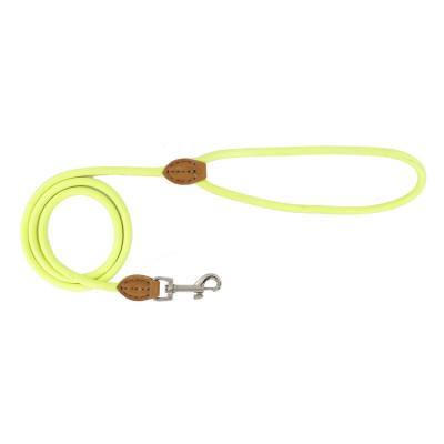 China Customized Customized Color Rope Classic Dog Leash Strong Nylon Pet Leash With Leather Tailor Connection For Small Medium Large Pets for sale