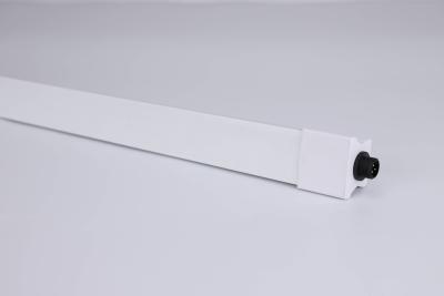 China 120° Blickwinkel LED Leuchtstoffleuchten 120V 2000lm-2100lm zu verkaufen