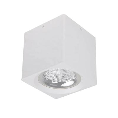 Chine 12W plafond monté LED longue durée de vie 50 Idéal pour l'éclairage d'entrepôt à vendre