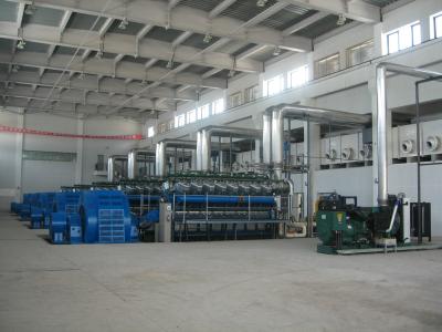 China 11000V Stationary / Land Diesel or heavy fuel oil or gas Genset Power Plant for sale