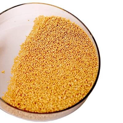 China High Quality Adult OEM Seabuckthorn Extract Vitamin C Seabuckthorn Seabuckthorn Sustained Release Pellets For Immunity for sale