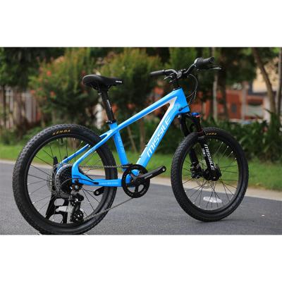 China 20 pulgadas 7 velocidad Niños pequeños Niños Ejercicio Bicicleta Niños Bicicleta Niños Bicicleta y costo en venta