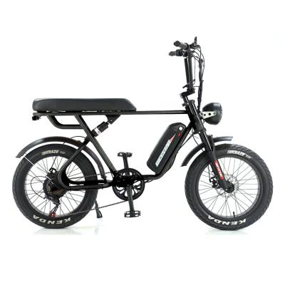 China Aventura ao ar livre 20*4.0 Kenda Fat Tire Double Disc Brake Mountain Bike para Adolescentes à venda