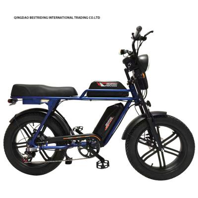 Cina Doppio freno a disco 48V 1000W Motor Ebike 20 pollici gomma elettrica a grassi Bicicleta con gomma Kenda in vendita