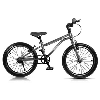 China Bruto gewicht 16,8 g Volwassenen fiets Wegfiets Fiets met riem aandrijving en aluminium frame Te koop